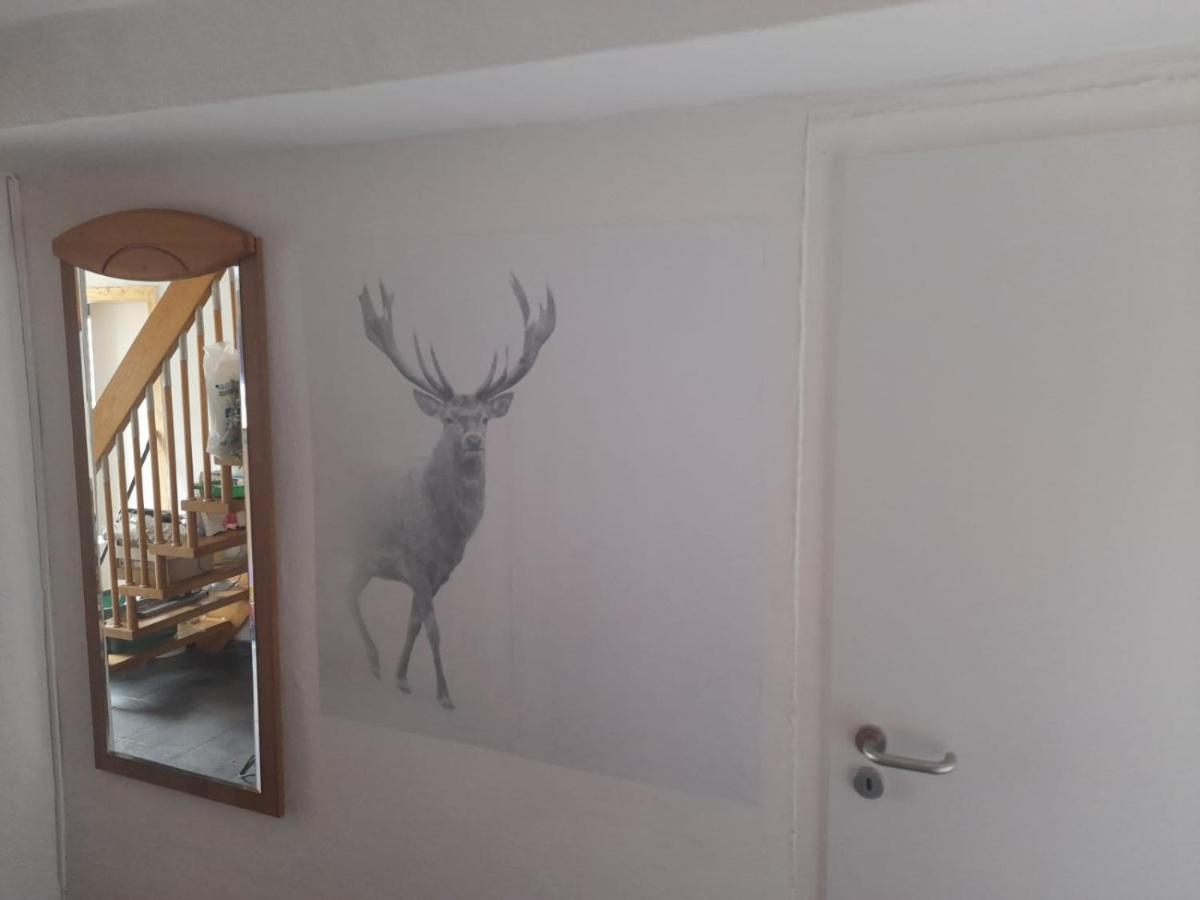 Ferienwohnung Beckmann Bad Lauterberg Esterno foto